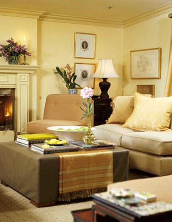 living room decorating ideas light brown colors