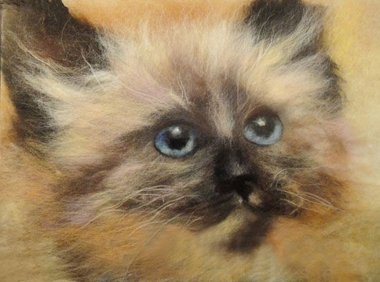 wool painting furry cat portrait