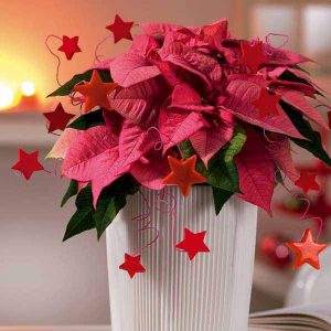 holiday table centerpieces