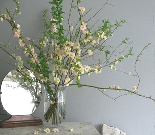 20 Ideas for Spring Home Decorating with Blooming Branches