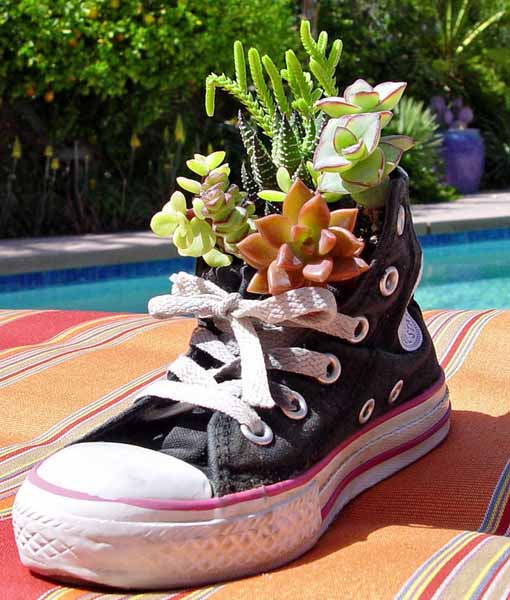 Plants and Flowers in Old Shoes and Boots, 20 Creative Garden Decorations