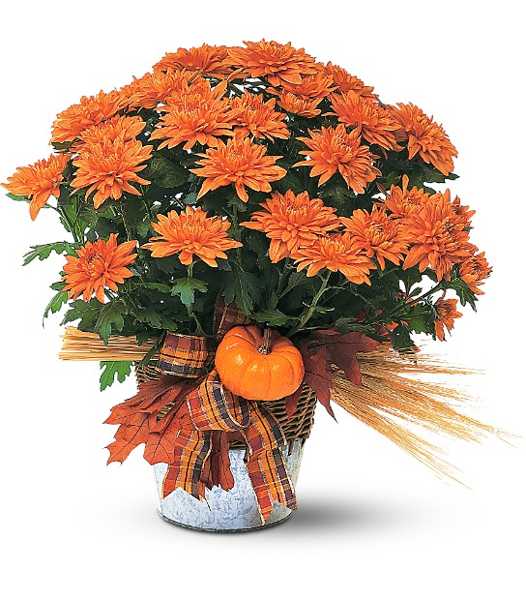 orange flower bouquet