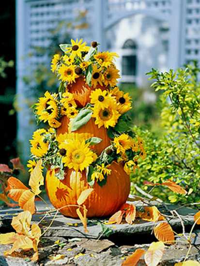 pumpkin tree with sunflowers