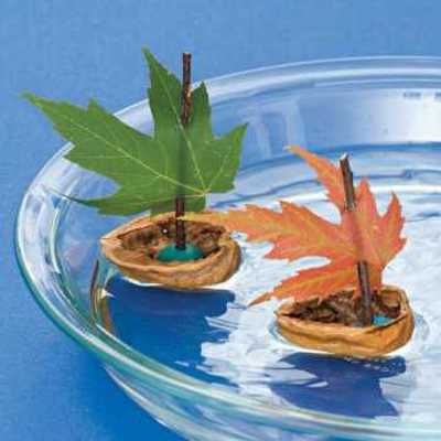 maple leaves and nut shells for making floating table centerpiece