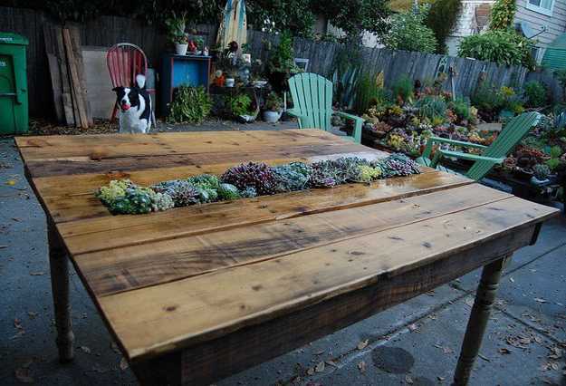 wooden table with container for growing plants