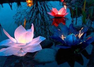 paper flower floating lights