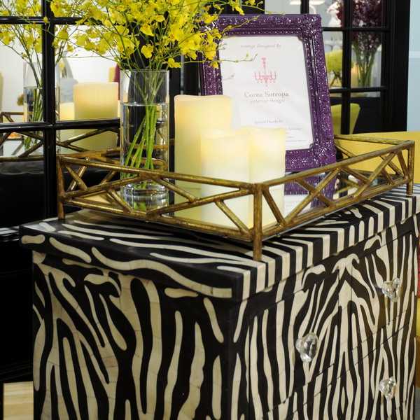 Zebra Living Room Furnishings Decorating Ideas 5 