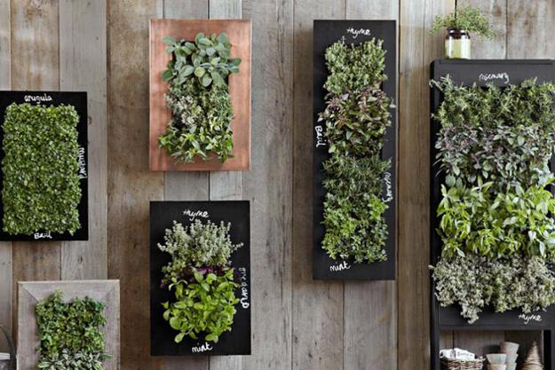 Chalkboard Wall Planters for Vertical Garden Designs