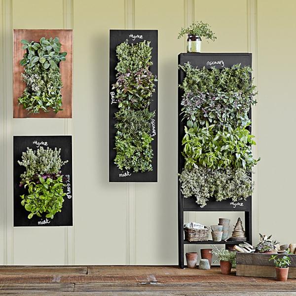 Chalkboard Wall  Planters for Vertical  Garden Designs