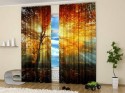 15 Window Curtains with Colorful Art Prints of Beautiful Flowers for ...