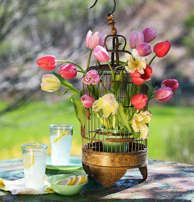 tulips in birdcage